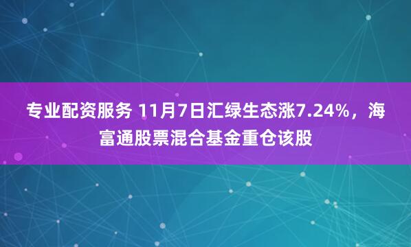 专业配资服务 11月7日汇绿生态涨7.24%，海富通股票混合基金重仓该股